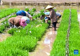 Farmer activity